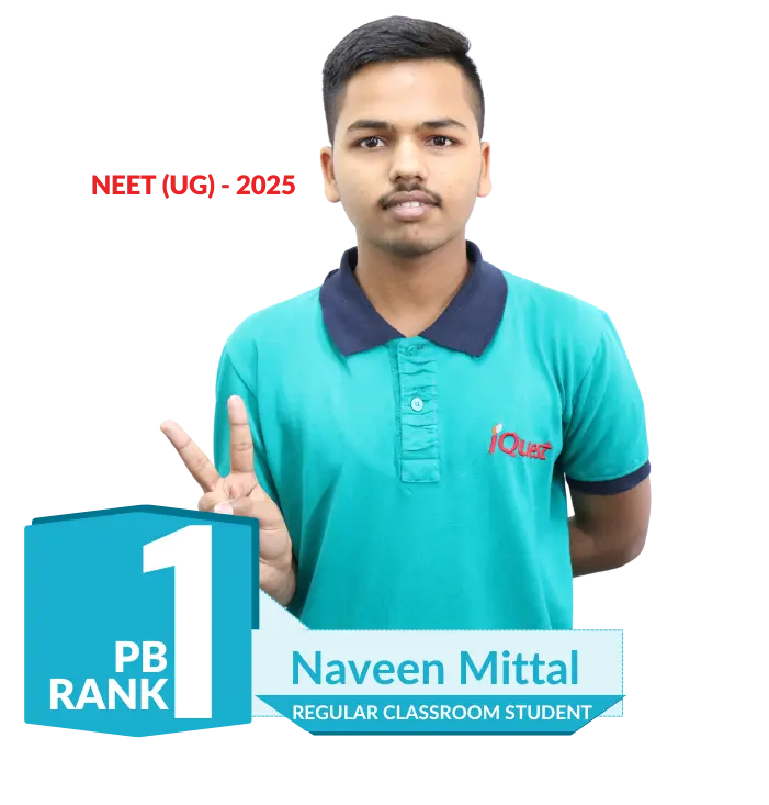 Naveen Mittal